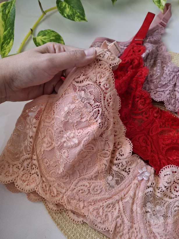 سوتین تک گیپوری پروانه